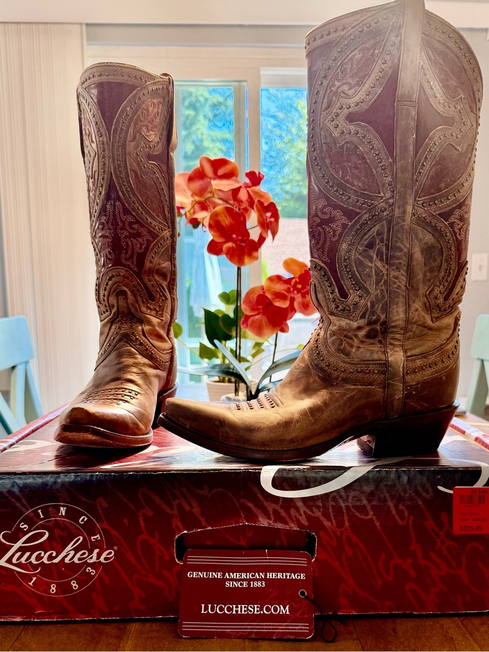 Lucchese ** The Leila - Sahara** design Tall western fashion boots - 7